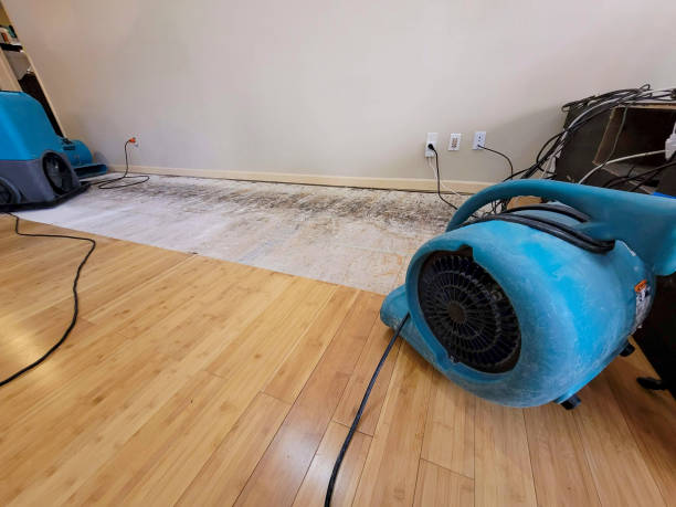 Professional Emergency Water Damage technician working in Garrett, WY